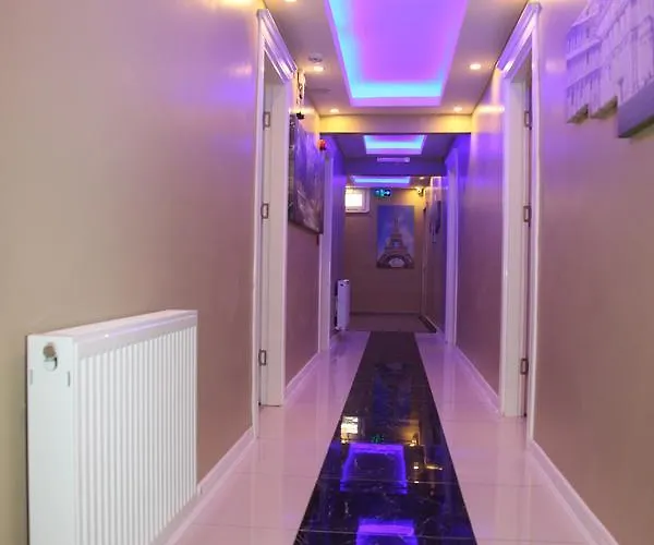 Emir Butik 酒店 布尤切克梅奇