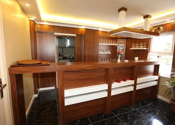 酒店 Emir Butik 布尤切克梅奇